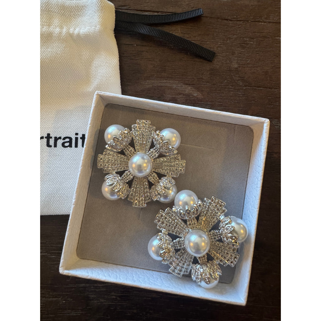 Large Silver Encrusted Earrings