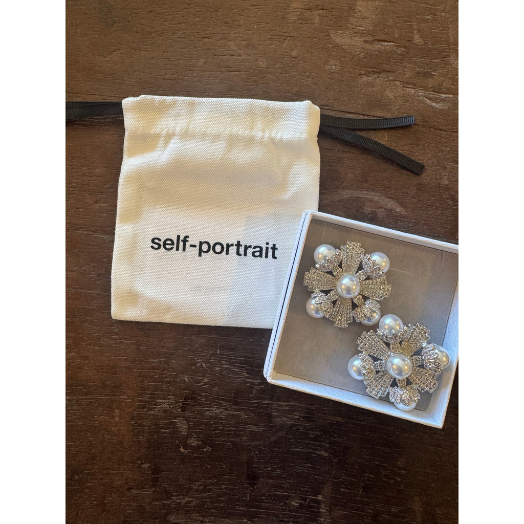 Large Silver Encrusted Earrings