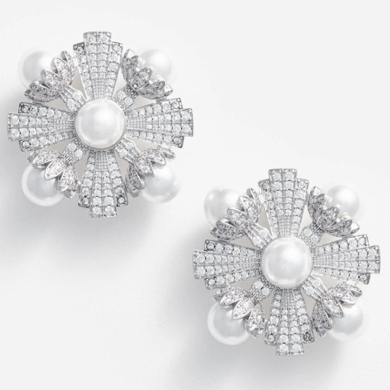 Large Silver Encrusted Earrings