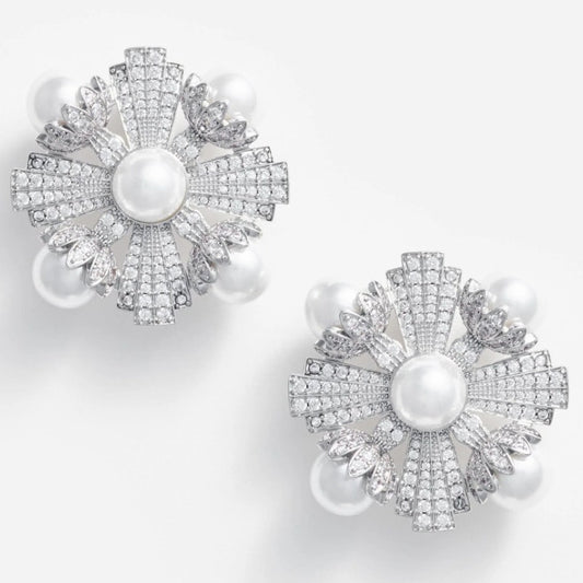 Large Silver Encrusted Earrings